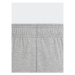 Adidas Športové kraťasy Essentials Big Logo Cotton Shorts HY4720 Sivá Regular Fit