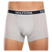 3PACK pánske boxerky Tommy Hilfiger viacfarebné (UM0UM03185 0YZ)