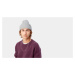 Carhartt WIP Gabe Beanie Ash Heather Grey