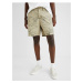 Beige Mens Shorts Desigual Fred - Men