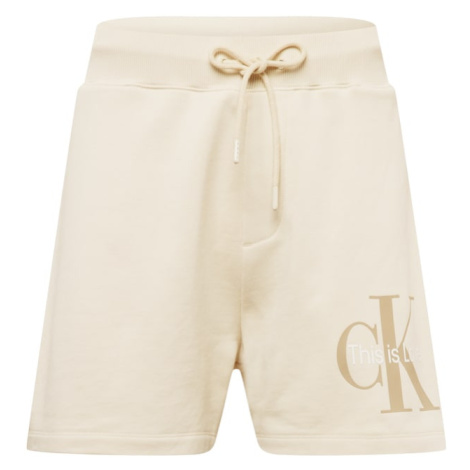 Pánske teplákové kraťasy Calvin Klein