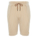 Trendyol Beige Striped Regular Cut Shorts