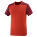 Salomon Essential Colorbloc T-Shirt M