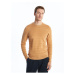 LC Waikiki Lw - Crew Neck Long Sleeve Striped Men's Knitwear Sweater