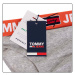 Tommy Hilfiger Jeans Tangá UW0UW02773P61 Grey