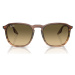 Ray-ban  Occhiali da Sole  RB2203 13920A  Slnečné okuliare Hnedá