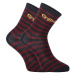 2PACK Detské ponožky E plus M Harry Potter viacfarebné (GRYFFINDOR-A)