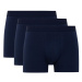 DEFACTO Regular Fit 3-Piece Boxer