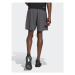 Adidas Športové kraťasy Train Essentials Woven Training Shorts IC6978 Sivá Regular Fit