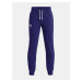 Under Armour UA Rival Terry Jogger J 1377254-468