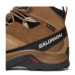 Salomon Trekingová obuv Quest Rove GORE-TEX L47181400 Hnedá