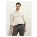 LC Waikiki Crew Neck Long Sleeve Men's Knitwear Sweater