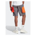 Adidas Športové kraťasy City Escape Premium Shorts IC3730 Sivá Loose Fit