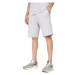 Pánske teplákové kraťasy 4F SHORTS CAS M085-25S-GREY