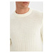 DEFACTO Standard Fit Regular Cut Crew Neck Jacquard Aviator Knitwear Sweater