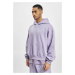 DEF Hoody purple washed