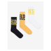 Diesel Ponožky - SKM-RAY-THREEPACK SOCKS viacfarebné