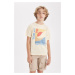 DEFACTO Boy's Crew Neck Printed Short Sleeve T-Shirt