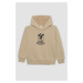 DEFACTO Boy&#39;s Printed Hooded Thick Sweatshirt