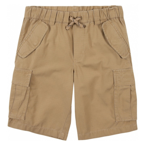 Chlapčenské kraťasy a šortky Ralph Lauren
