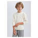 DEFACTO Boy's Crew Neck Cotton Knitted Sweater