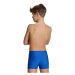 Arena boys swim short graphic royal/fluo red