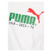 Puma Tričko No. 1 Logo Celebration 676020 Biela Regular Fit