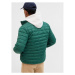 GAP LIGHTWEIGHT LOGO Pánska zimná bunda, zelená, veľkosť