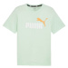 Puma ESS+ Col Logo T-Shirt M 586759 88 muži