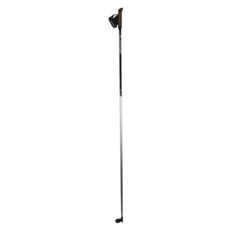 Bežecké palice Blizzard XC Performance Poles - silver/black