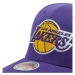 Mitchell & Ness NBA Los Angeles Lakers Team Ground 2.0 Stretch Snapback Cap HHSS3257-LALYYPPPPUR