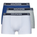 Tommy Hilfiger  TH MONOTYPE X3  Boxerky Viacfarebná