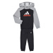 adidas  Essentials Big Logo Fleece Track Suit  Súpravy vrchného oblečenia Šedá