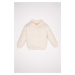 DEFACTO Baby Girl Beige Large Collar Zippered Knitwear Sweater