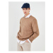 LC Waikiki Crew Neck Long Sleeve Men's Knitwear Sweater