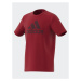 Adidas Tričko Essentials Big Logo Cotton T-Shirt IJ6262 Červená Regular Fit