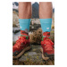 Viacfarebné ponožky Téryho chata s kamzíkom