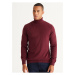 Altinyildiz Classics Full Turtleneck Men's Standard Claret Red Sweater 4A4924100058