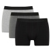 DEFACTO Regular Fit 3-Piece Boxer