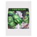 Freegun Boxerky Marvel Hulk FG/MV11/BM/HUL Zelená