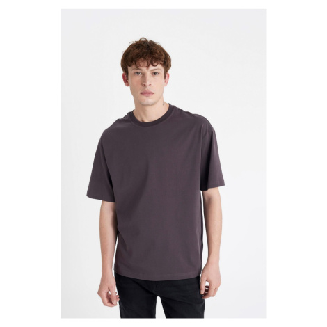 DEFACTO Boxy Fit Crew Neck Short Sleeve Basic T-Shirt