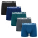 5PACK men's boxers Gianvaglia multicolored