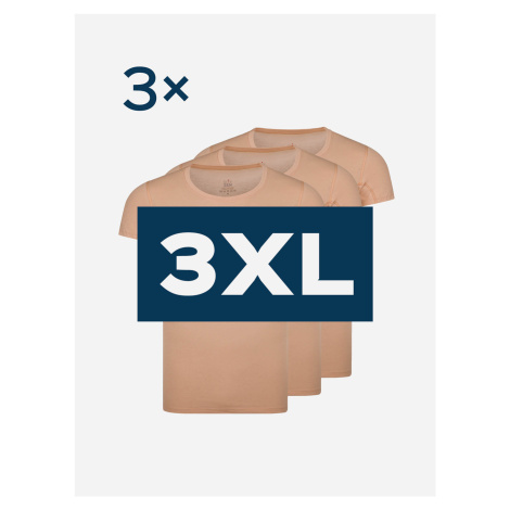 Triplepack antibakteriálne pánske neviditeľné tričko ARLON so zdvojeným podpazuším - 3XL