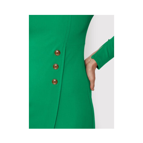 Pinko Každodenné šaty Altea 1G1892 1739 Zelená Regular Fit