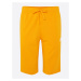Nike Sportswear Nohavice  oranžová