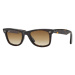 Ray-Ban Wayfarer Classic RB2140 902/51 - M (50)