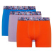 DEFACTO Regular Fit 3-Piece Boxer