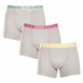 3PACK pánske boxerky Levis viacfarebné (905045001 025)