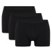 DEFACTO Regular Fit 3-Pack Boxer