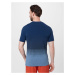 UNDER ARMOUR Funkčné tričko 'Seamless Lux'  svetlomodrá / tmavomodrá / sivá melírovaná